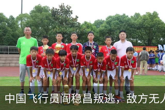 中国飞行员阎稳昌叛逃，敌方无人接应，最后撞山，结局悲惨，机毁人亡
