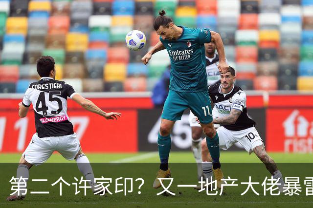 第二个许家印？又一地产大佬暴雷，涉案超200亿，现已被立案调查
